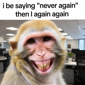 Stupid Bar Memes 72963sn