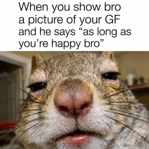 Stupid Bar Memes 73058sn