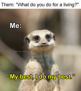 Stupid Bar Memes 73082199sn