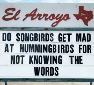 Stupid Bar Memes 99b7409c