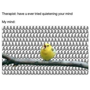 Stupid Bar Memes a0eBZ8nss
