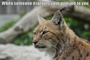 Stupid Bar Memes a5QOLXOss
