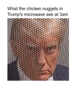 Stupid Bar Memes a7oQ7p2ss