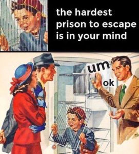 Stupid Bar Memes a7oQEvmss