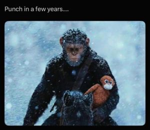 Stupid Bar Memes a9yoAzmss
