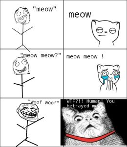 Stupid Bar Memes aAy85qoss