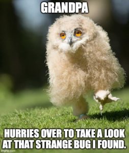 Stupid Bar Memes aD2KeW9ss