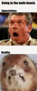 Stupid Bar Memes aE03BWpss