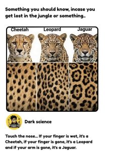 Stupid Bar Memes aGyX8ewss