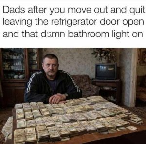 Stupid Bar Memes aGyXM35ss