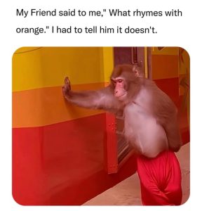 Stupid Bar Memes aGymWoKss