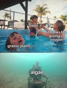 Stupid Bar Memes aMVg1oRss
