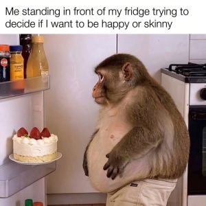 Stupid Bar Memes aO8M592ss