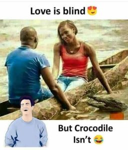 Stupid Bar Memes aO8wqwrss