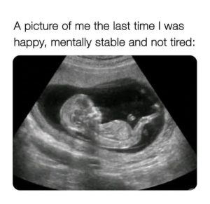 Stupid Bar Memes aQzLweqss