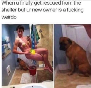 Stupid Bar Memes aRBnLx7ss