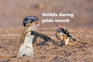 Stupid Bar Memes aW4r3jAss
