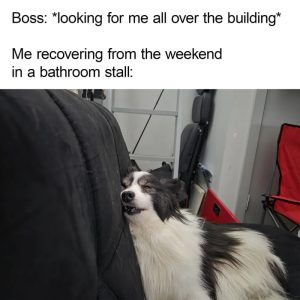 Stupid Bar Memes aW4zxXZss