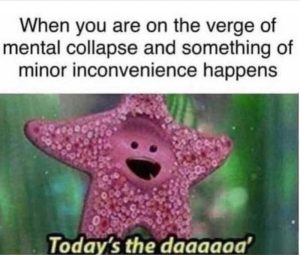 Stupid Bar Memes aYQ9G0vss