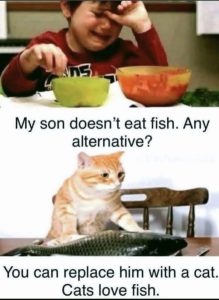 Stupid Bar Memes aYQ9P3Nss