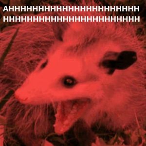 Stupid Bar Memes aYQ9rp0ss