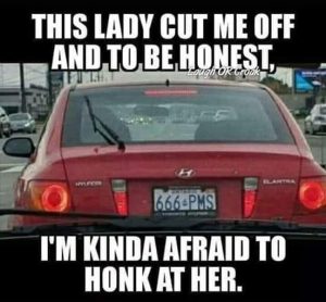 Stupid Bar Memes ae9LK7Oss