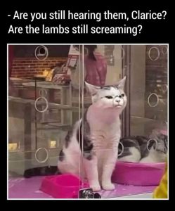 Stupid Bar Memes agmW4D6ss