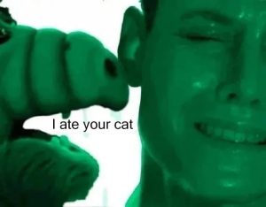 Stupid Bar Memes agmWApwss
