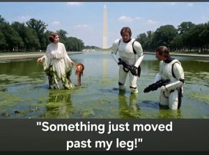 Stupid Bar Memes ajPp1Dqss