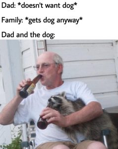 Stupid Bar Memes ajPzwx8ss