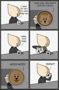 Stupid Bar Memes amo32Ldss