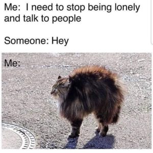 Stupid Bar Memes amo3GLyss