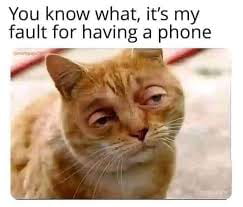 Stupid Bar Memes amo3V7Xss