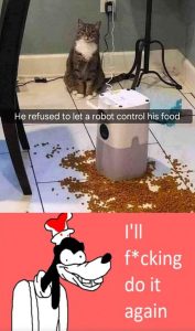 Stupid Bar Memes an764Dbss