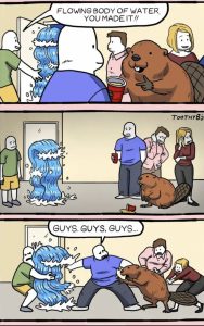 Stupid Bar Memes an7mPM0ss