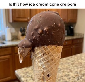 Stupid Bar Memes an7mp1nss
