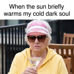 Stupid Bar Memes aoyX3jAss