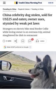 Stupid Bar Memes apROqZMss