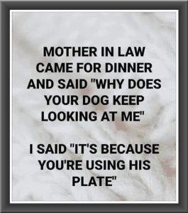 Stupid Bar Memes aqy0L1vss