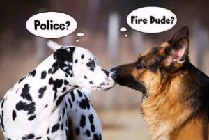Stupid Bar Memes atiansfireman