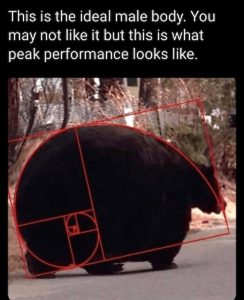 Stupid Bar Memes avyNmP5ss