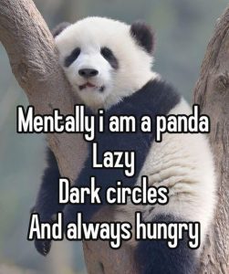 Stupid Bar Memes avyNzXbss
