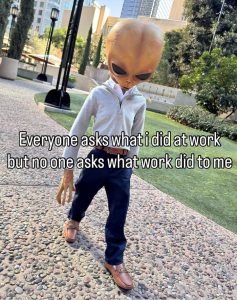 Stupid Bar Memes axy52vMss