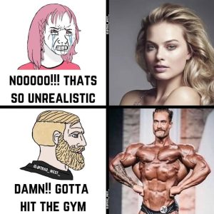 Stupid Bar Memes axy566nss