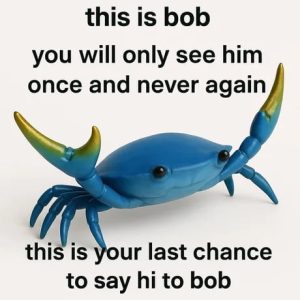 Stupid Bar Memes azxWWNpss