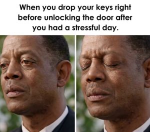 Stupid Bar Memes azxneRBss