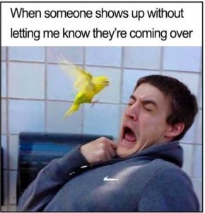 Stupid Bar Memes birdssover