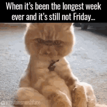 Stupid Bar Memes cassvacation
