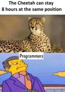 Stupid Bar Memes cheehetic