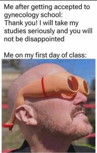 Stupid Bar Memes gynecologlasses